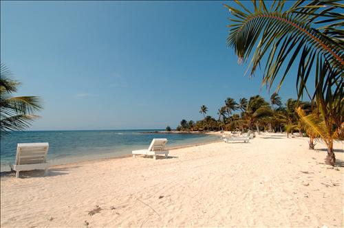 Laguna Beach Resort Utila Instalações foto